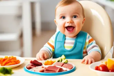 Quando Introduzir carne na Alimentação do bebê