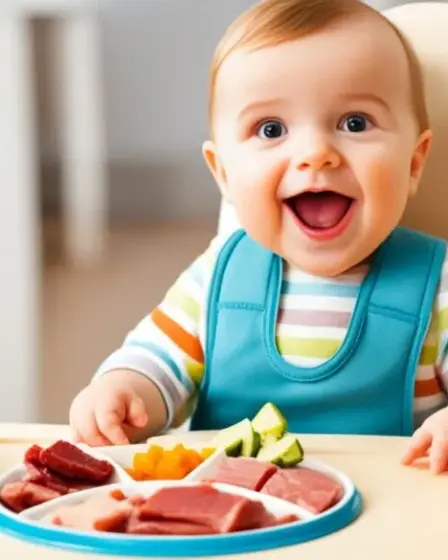 Quando Introduzir carne na Alimentação do bebê